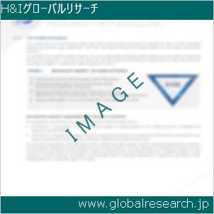 グローバルリサーチ調査レポートのイメージ
